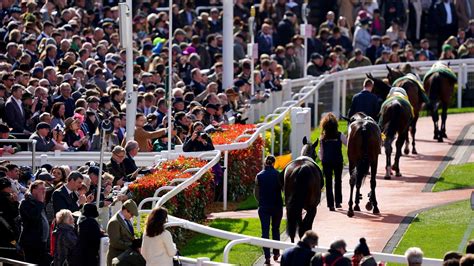 current going at cheltenham|LATEST GOING NEWS AND GENERAL INFORMATION .